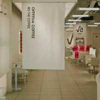 Bold Brews at Offffive Coffee