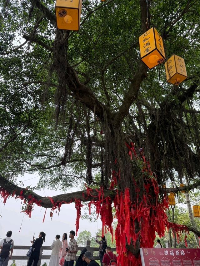 Baiyun mountain ภูเขาไป่หยุน
