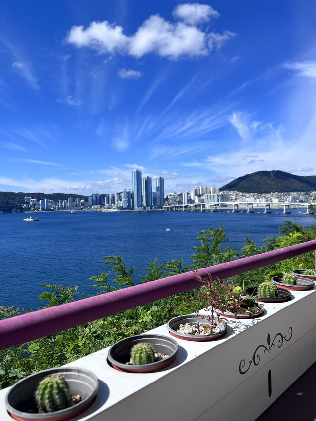 【釜山】ちょっと疲れたら、ここ！カフェとアートと、海。癒しの街・ヒンヨウル文化村