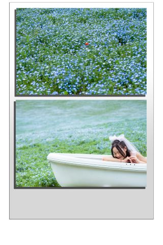 立川市昭和記念公園でネモフィラと八重桜を満喫