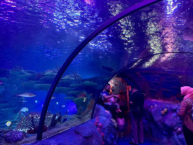 SEA LIFE 