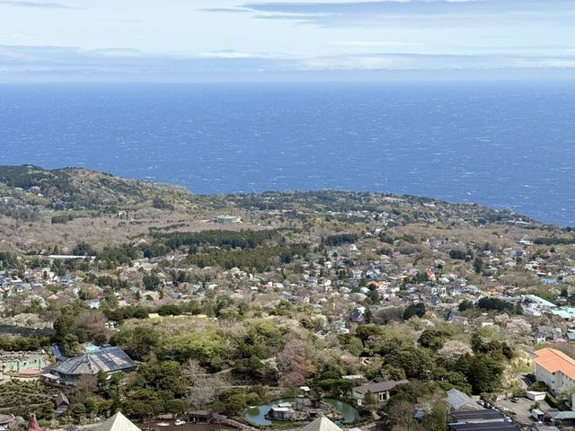大室山🏞️半日遊