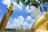 วัดเขาภูคาจุฬามณี
