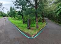 #臺東森林公園-臺東縣臺東市