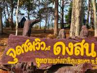 ผาหัวนาค ชัยภูมิ