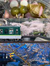 Philosopher's Path & Lake Biwa Canal Cherry Blossom Day Tour 🌸