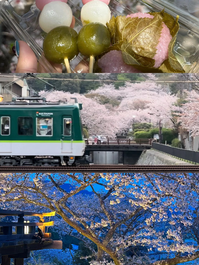 Philosopher's Path & Lake Biwa Canal Cherry Blossom Day Tour 🌸