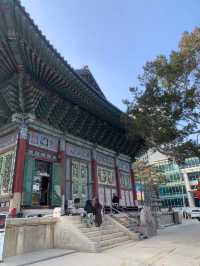 ✨💕Beautiful Jogyesa Temple✨💕Must Visit! 
