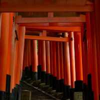 中井神社·隱秘靜謐