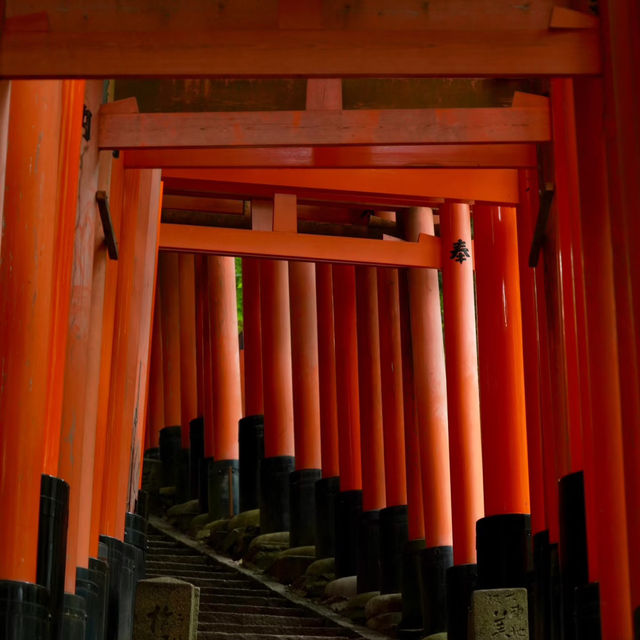 中井神社·隱秘靜謐