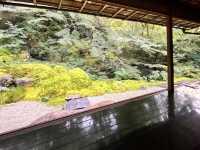 🇯🇵【京都】特別拝観期間だけ拝観できる！瑠璃光院！