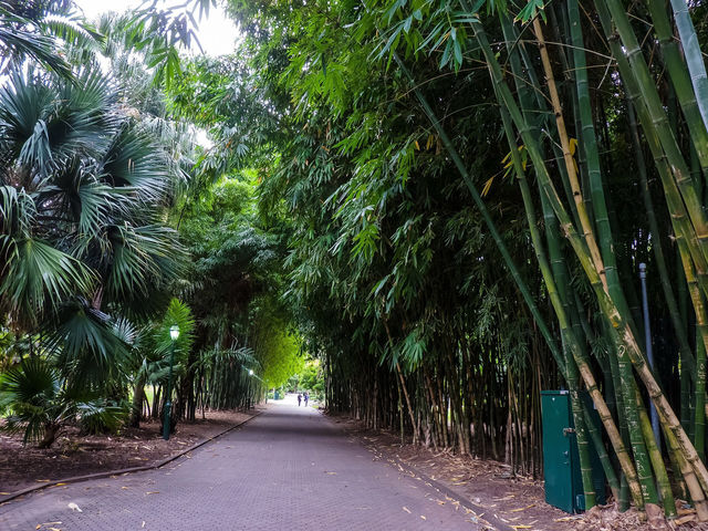 🌆✨ Brisbane City Centre Spring Getaway: Urban Oasis in 48 Hours