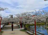 佐賀縣小城市旅行