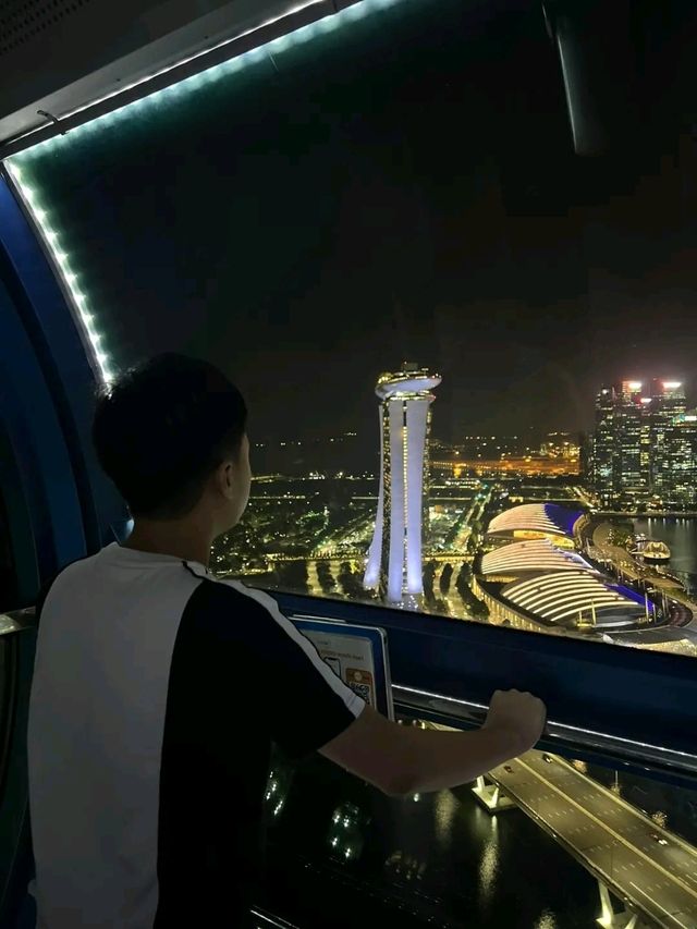 Above the City: A Breathtaking Ride on the Singapore Flyer