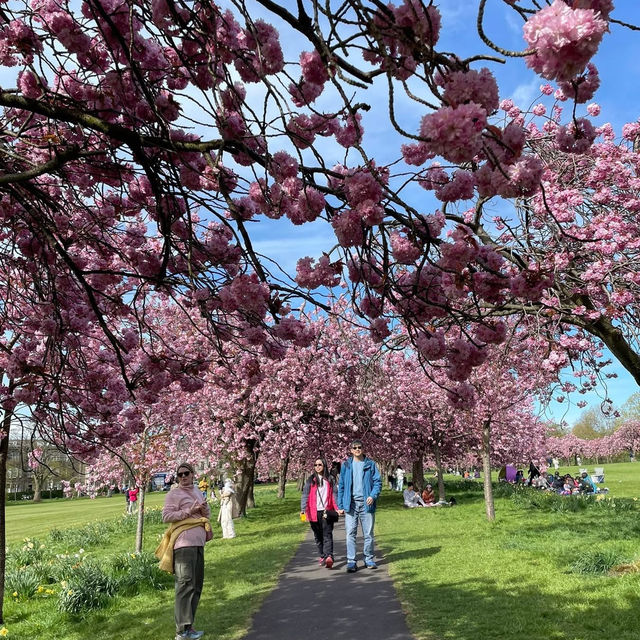 Springtime Magic on The Stray, Harrogate