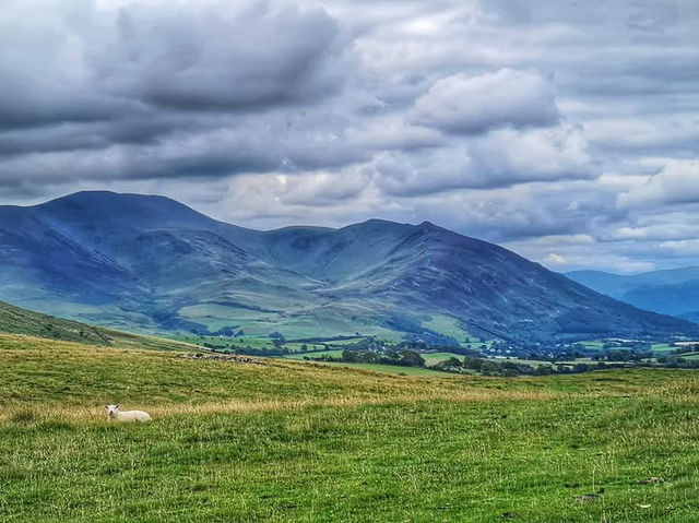 Wild and Wonderful – A Lake District Walk to Remember