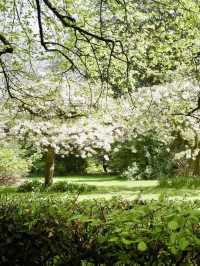 Weekend Fun at Calderstones Park
