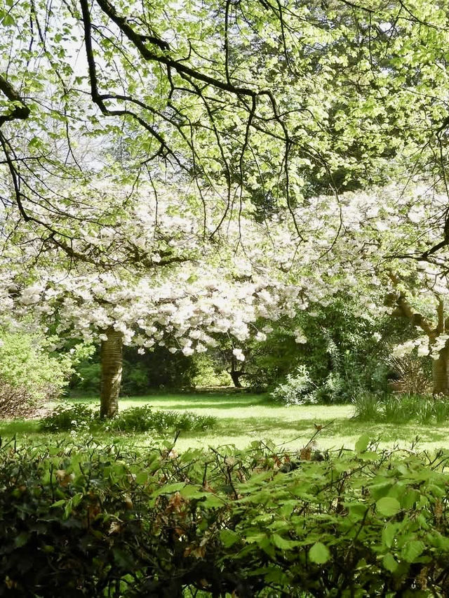 Weekend Fun at Calderstones Park