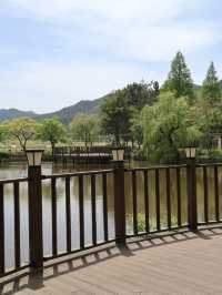 경주에서 제일 좋았던 무료 산책 정원 외나무 포토존 놓치지마세요🌳
