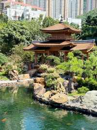 香港｜志蓮淨苑與南蓮園池｜港版小京都