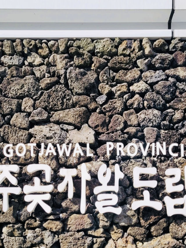 Great Walk in Jeju's Gotjawal Provincial Park! 