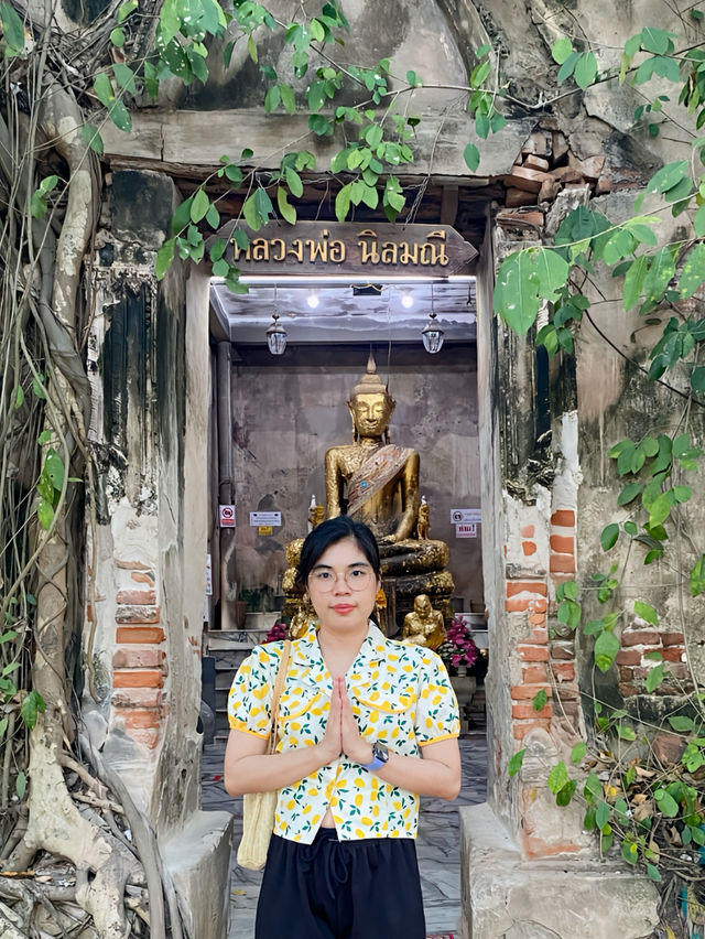 วัดบางกุ้ง” แห่งสมุทรสงคราม โบสถ์ปกโพธิ์ที่ล่ำลือ