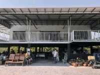 พากินร้านอาหารชื่อดังที่เขาเต่า!!