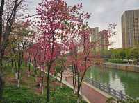 Kunming Waterfall Park