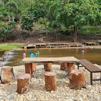 🌿เที่ยวอุทยานแม่ตะไคร้ | กางเต้นท์ นั่งชิล☘️