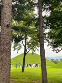 역사와 자연을 한번에 체험할 수 있는 경주여행🇰🇷🥢🌱🍀