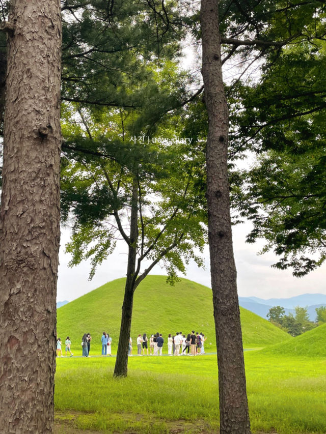 역사와 자연을 한번에 체험할 수 있는 경주여행🇰🇷🥢🌱🍀