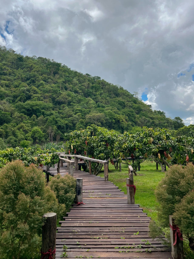คาเฟ่เขาใหญ่ท่ามกลางภูเขา🌳🪵