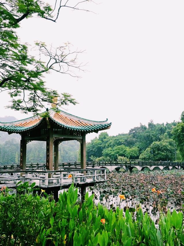 中國廣東肇慶旅行攻略，適合打卡拍照📸