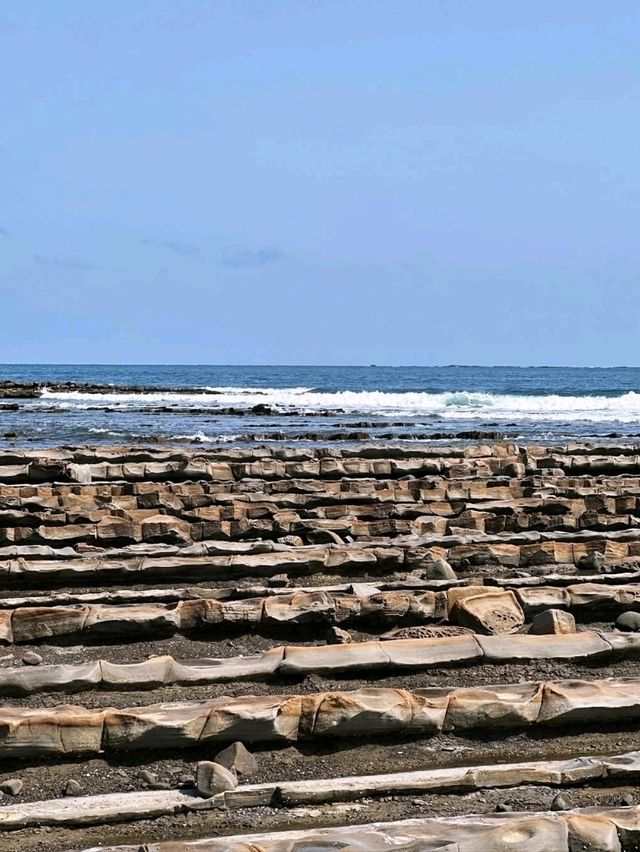 Aoshima in Spring