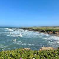 Where land ends, stories begin—Pigeon Point Lighthouse awaits.