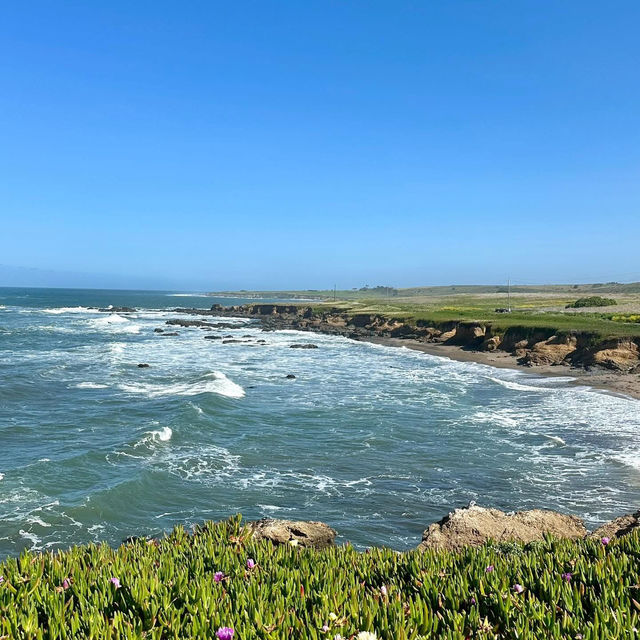 Where land ends, stories begin—Pigeon Point Lighthouse awaits.