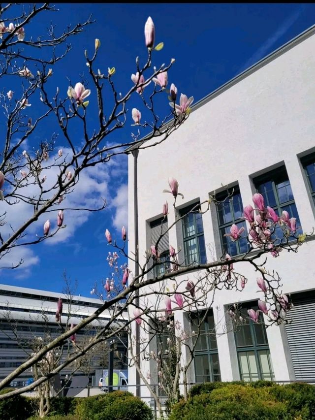 Munich Magic – Where Tradition Dances with Modern Life