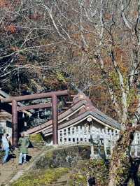 Spring Hike, Step Into a Sacred Forest