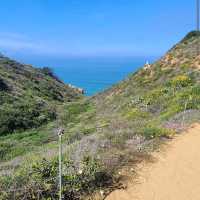 Torrey Pines State Natural Reserve – La Jolla, CA