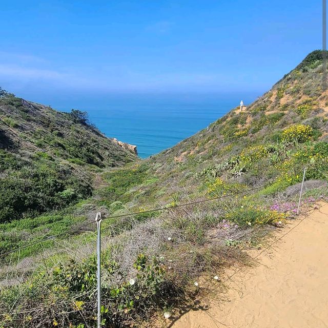 Torrey Pines State Natural Reserve – La Jolla, CA