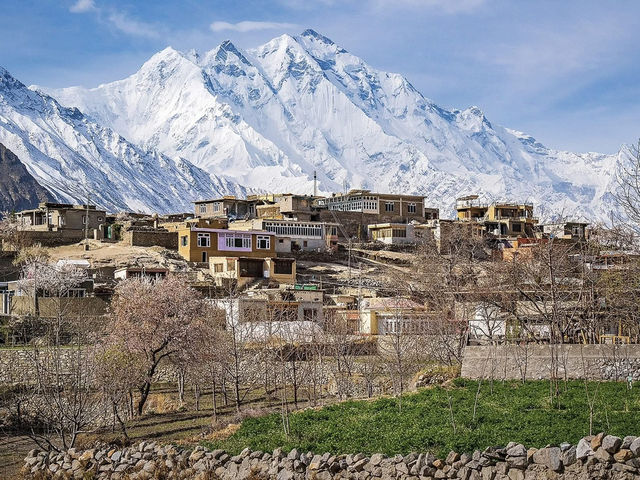Other Sadie of Pakistan 
