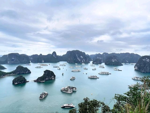 Boats, Caves & Chill Vibes