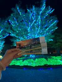 Nabana no Sato เทศกาลไฟสุดยิ่งใหญ่ที่ไม่ควรพลาด