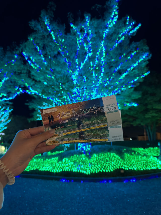 Nabana no Sato เทศกาลไฟสุดยิ่งใหญ่ที่ไม่ควรพลาด