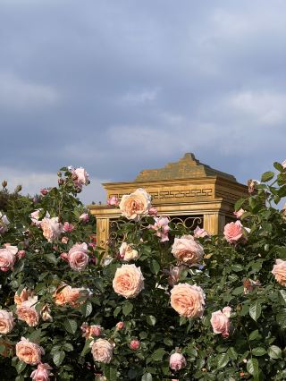 Where to Meet the Queen of May
