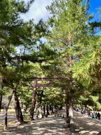 A Weekend in Izumo – Shrines, Stories & a Stay with Soul