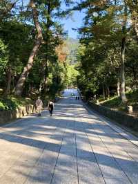 A Weekend in Izumo – Shrines, Stories & a Stay with Soul