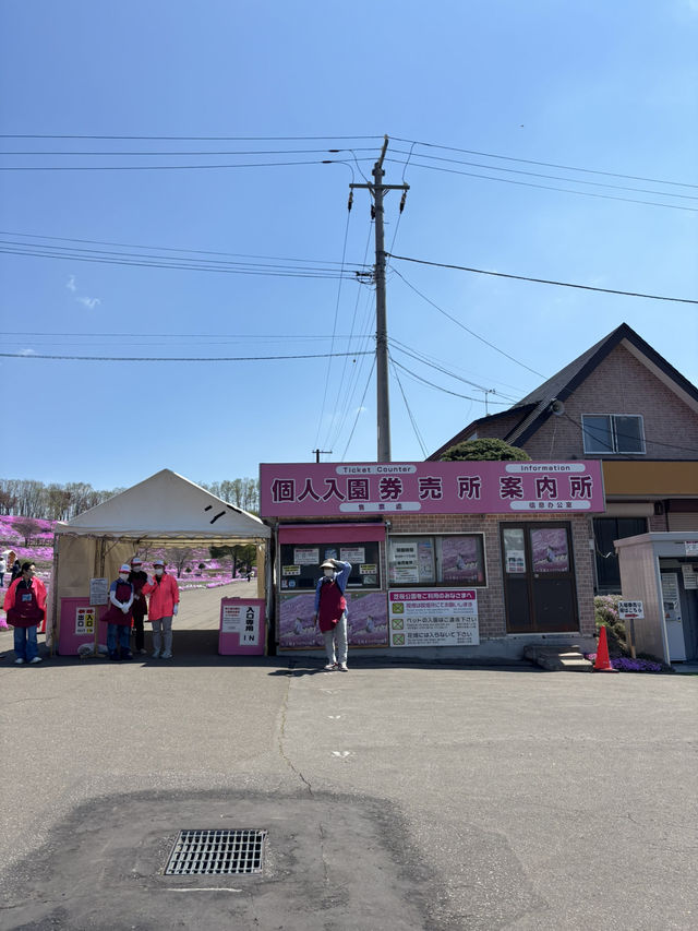 ひがしもこと芝桜公園で春の絶景体験！ピンクのじゅうたんに包まれる感動スポット
