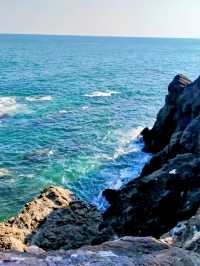 Local Wandering in Kōchi – Castles, Coastlines & Quiet Moments