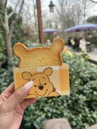 Shanghai Disneyland 🏰